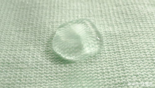 首發(fā)丨打造紡織業(yè)數(shù)字供應(yīng)鏈生態(tài)，鹿優(yōu)數(shù)科獲億元A輪融資